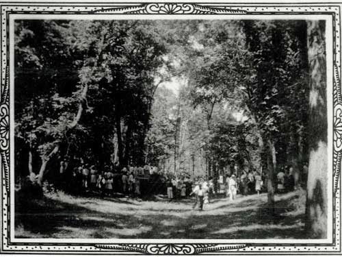 park_002_web